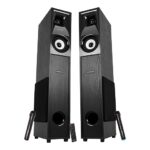 Zebronics Hammer Dual Tower Speaker with Powerful 160W RMS Output, Deep Bass, 10" Subwoofers, 2X Wireless mic, Karaoke, Bluetooth 5.0, LED Display, Remote Control, FM Radio & Glossy Finish (Black)
