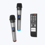 Banjo (Zeb Monster Pro 2X12L2) - Image 6